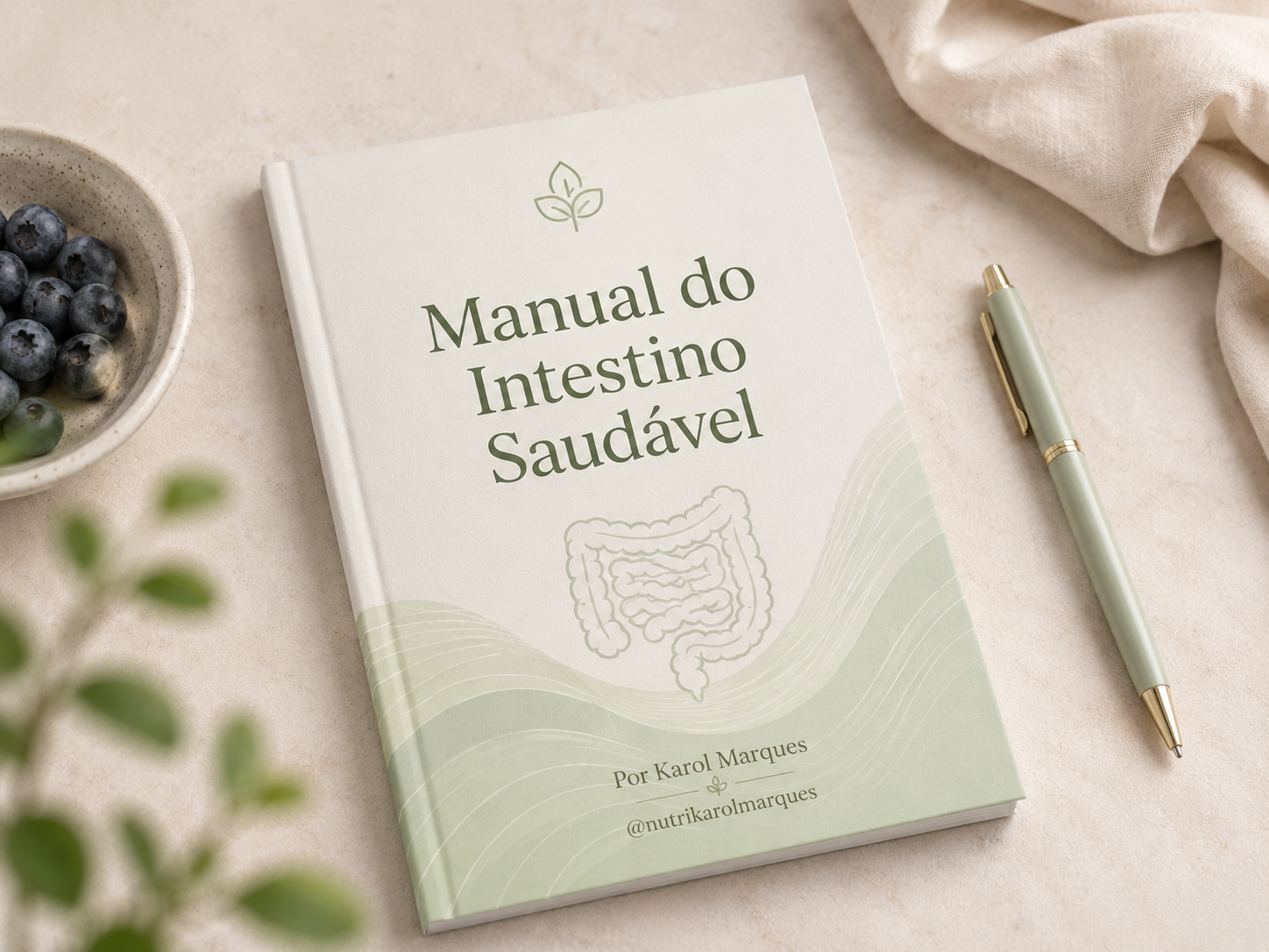 Manual do Intestino Saudável
